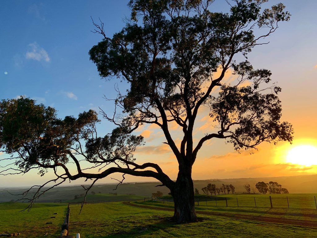 Landcare early learning | spec.com.au